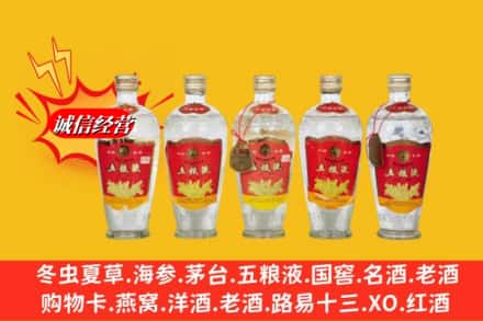 大理云龙县回收老五粮液