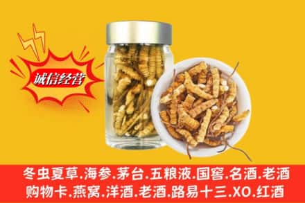 大理云龙县回收散虫草