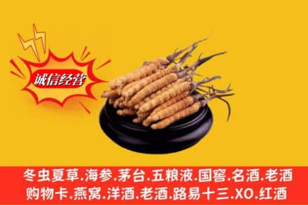 大理云龙县名酒回收冬虫夏草.jpg